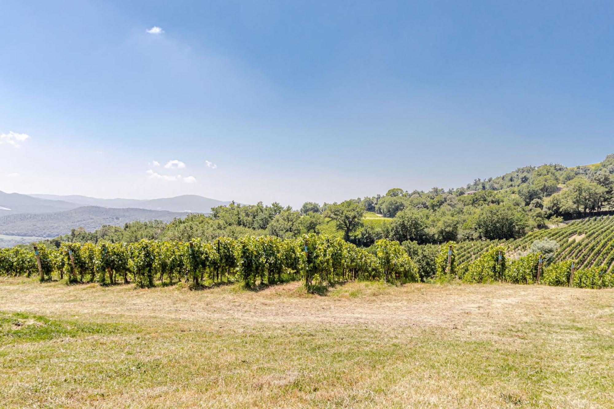 Chateau La Siroque Монтекатіні-Валь-ді-Чечина Екстер'єр фото